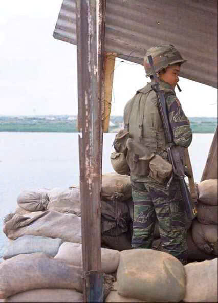 “Thai Late War Large“ tiger stripe camou - Image 2